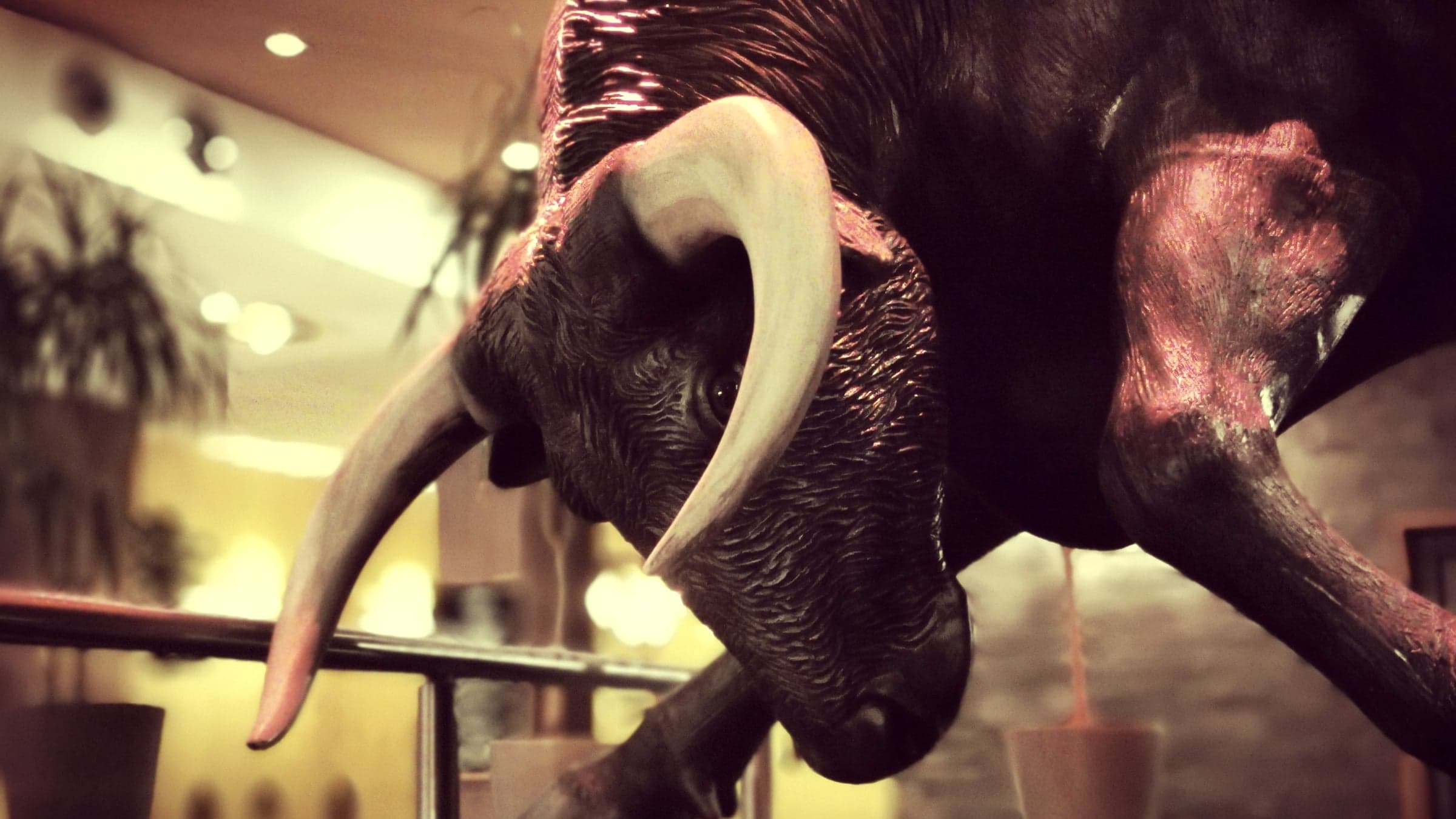Der schwarze Stier über der Bar im Gastraum von La Tapa Guapa